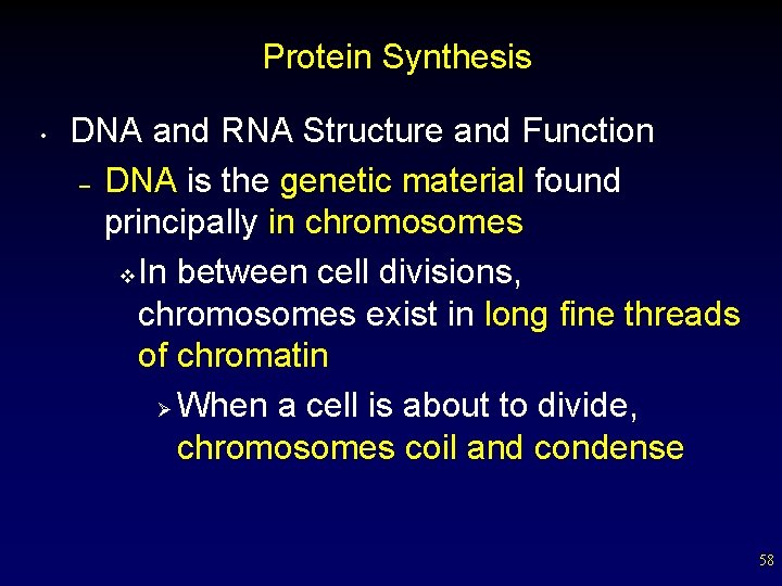 Protein Synthesis • DNA and RNA Structure and Function – DNA is the genetic