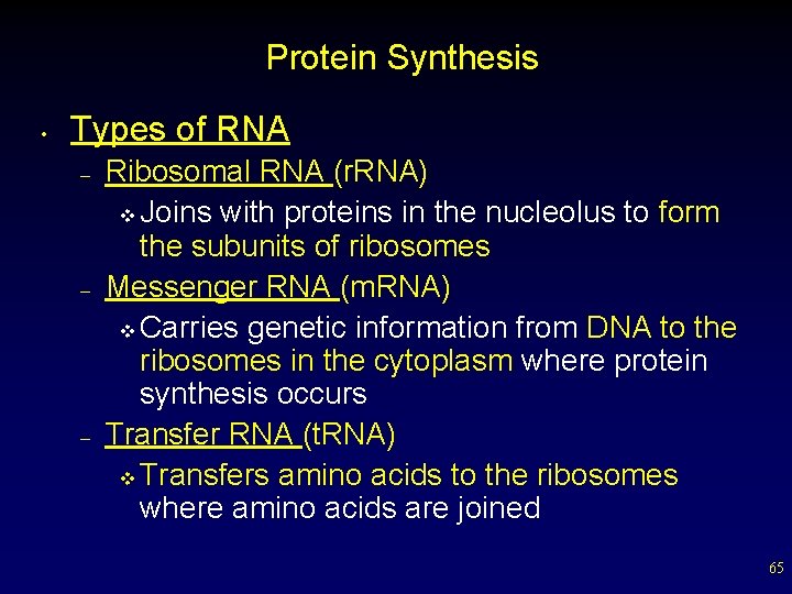 Protein Synthesis • Types of RNA – – – Ribosomal RNA (r. RNA) v