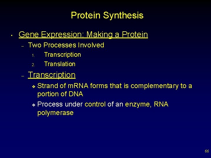 Protein Synthesis • Gene Expression: Making a Protein – Two Processes Involved 1. 2.
