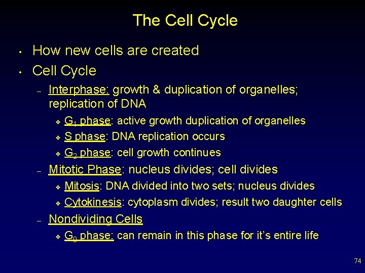 The Cell Cycle • • How new cells are created Cell Cycle – Interphase: