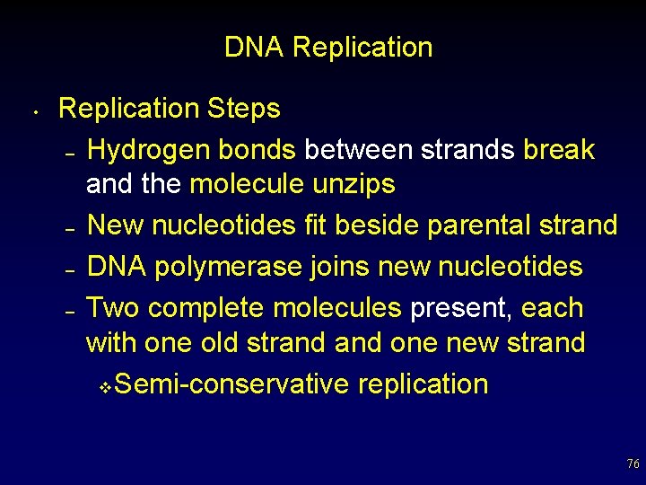 DNA Replication • Replication Steps – Hydrogen bonds between strands break and the molecule