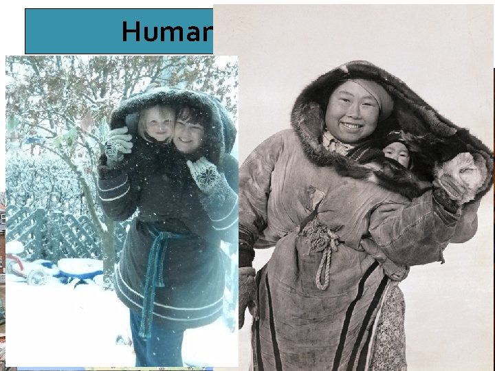 Human Adaptation Humans adapt to their environment Examples: adapt to climate (shelter, clothes…) 