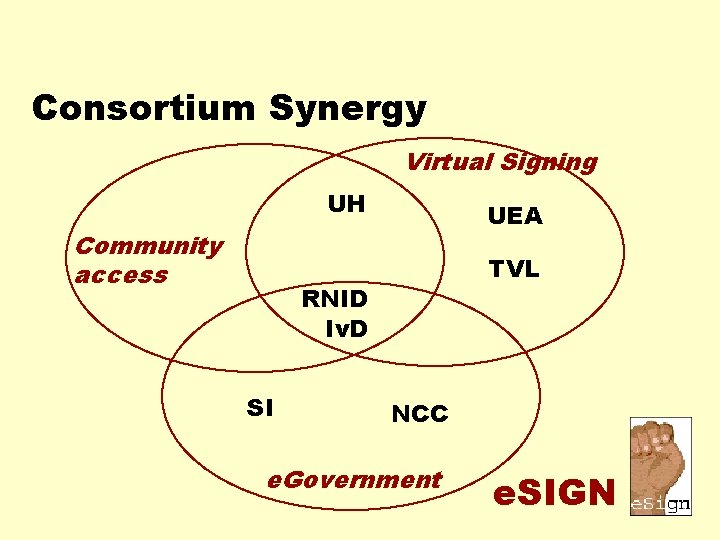 Consortium Synergy Virtual Signing UH Community access UEA TVL RNID Iv. D SI NCC