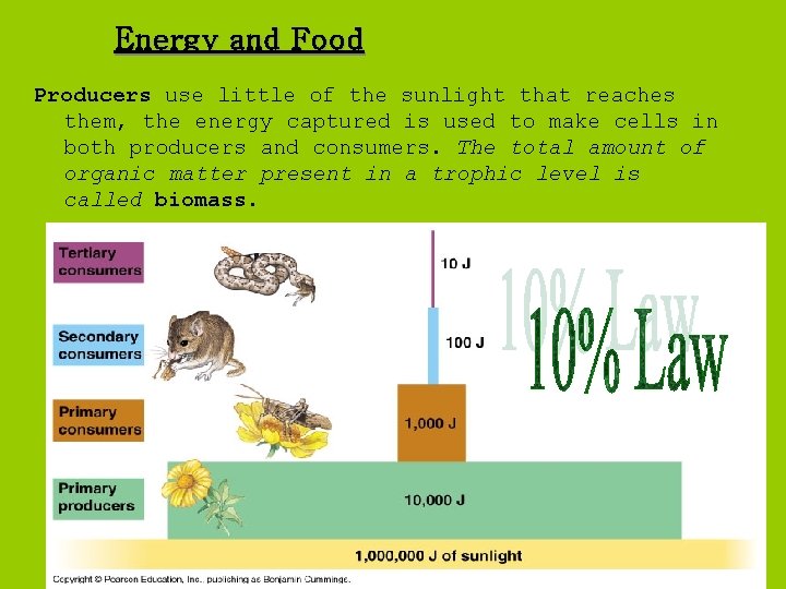 Energy and Food Producers use little of the sunlight that reaches them, the energy