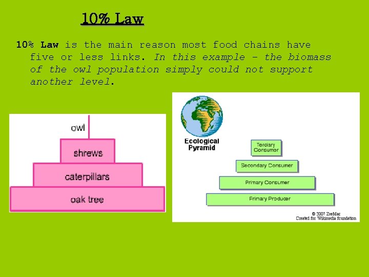 10% Law is the main reason most food chains have five or less links.