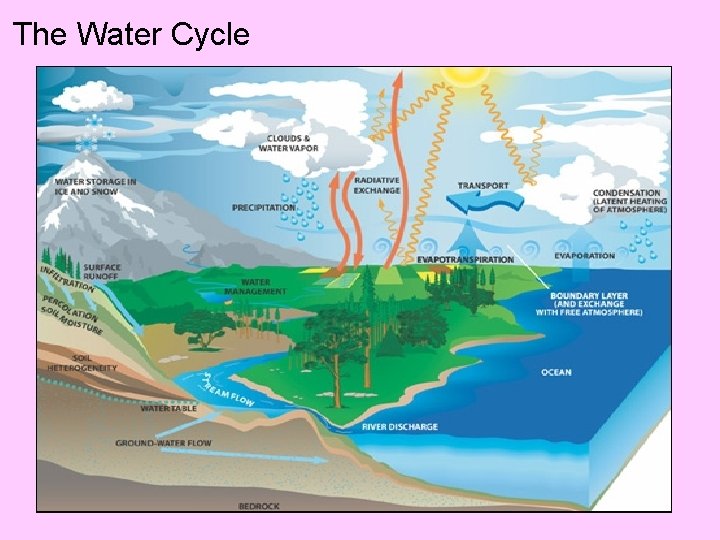 The Water Cycle 