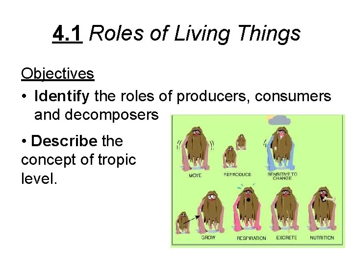 4. 1 Roles of Living Things Objectives • Identify the roles of producers, consumers
