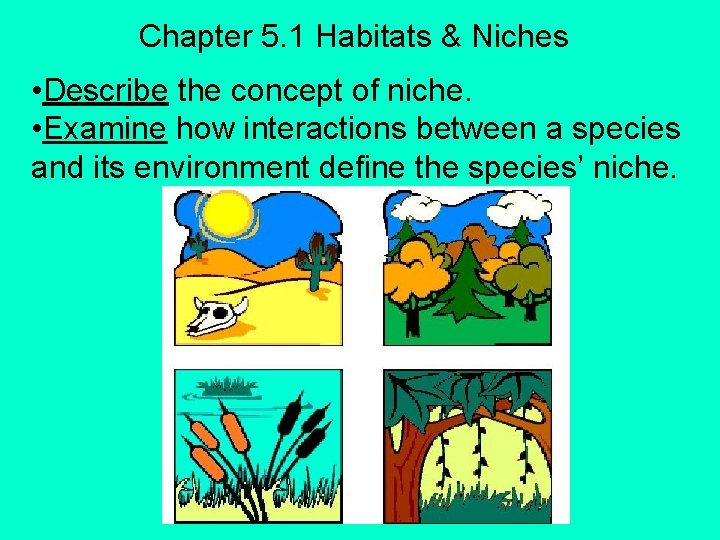 Chapter 5. 1 Habitats & Niches • Describe the concept of niche. • Examine