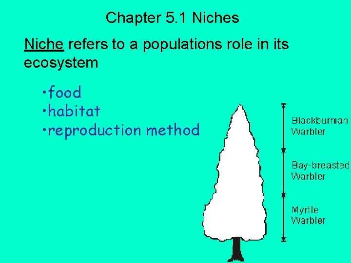 Chapter 5. 1 Niches Niche refers to a populations role in its ecosystem •