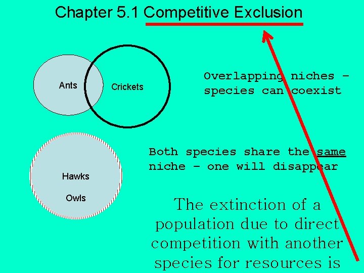 Chapter 5. 1 Competitive Exclusion Ants Hawks Owls Crickets Overlapping niches – species can