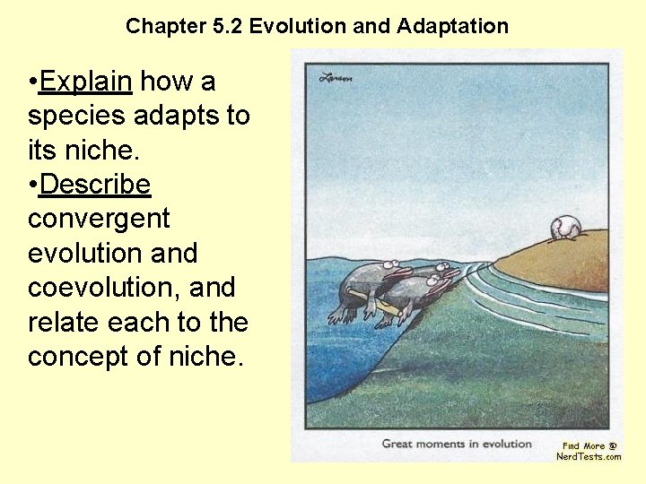 Chapter 5. 2 Evolution and Adaptation • Explain how a species adapts to its