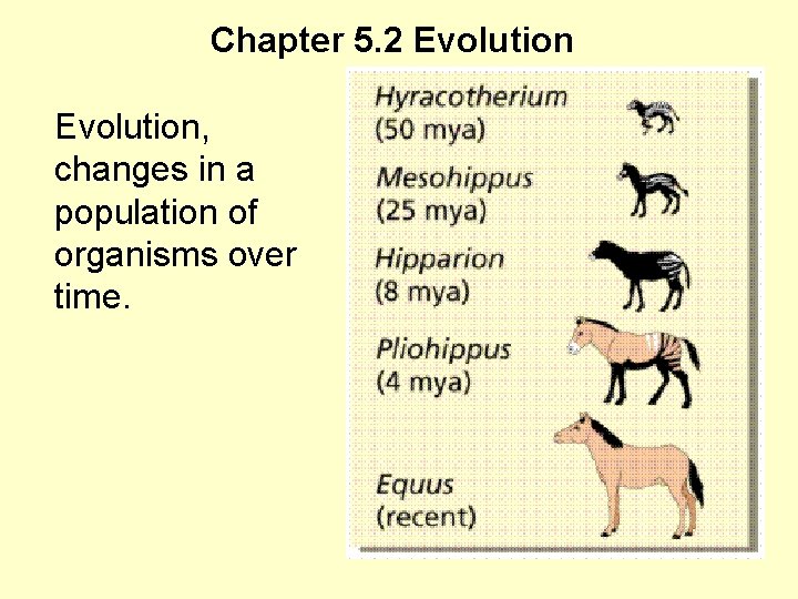 Chapter 5. 2 Evolution, changes in a population of organisms over time. 
