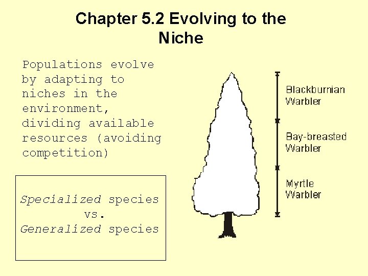 Chapter 5. 2 Evolving to the Niche Populations evolve by adapting to niches in