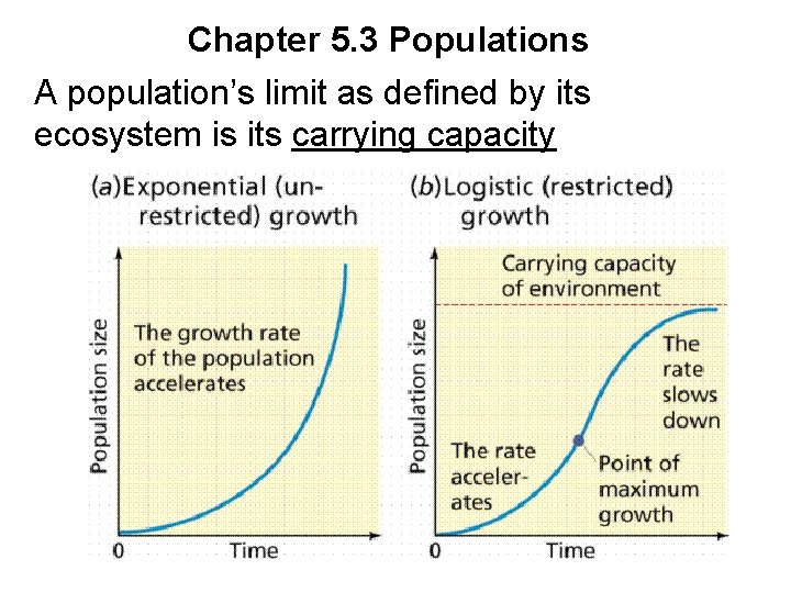 Chapter 5. 3 Populations A population’s limit as defined by its ecosystem is its