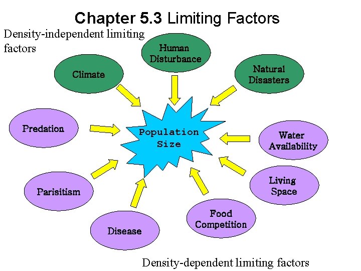 Chapter 5. 3 Limiting Factors Density-independent limiting factors Human Disturbance Natural Disasters Climate Predation