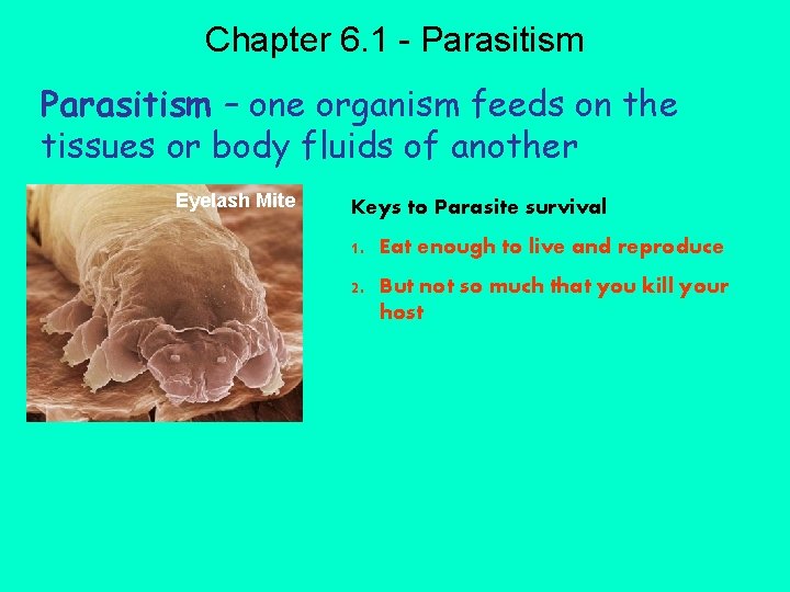 Chapter 6. 1 - Parasitism – one organism feeds on the tissues or body