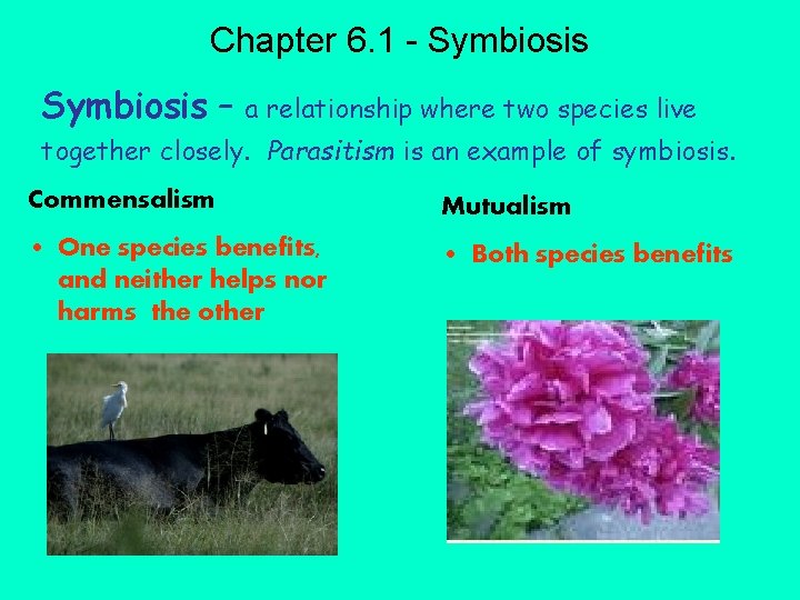 Chapter 6. 1 - Symbiosis – a relationship where two species live together closely.