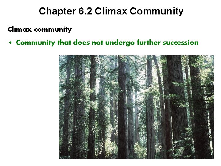 Chapter 6. 2 Climax Community Climax community • Community that does not undergo further