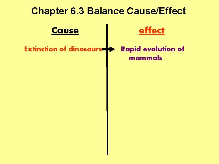 Chapter 6. 3 Balance Cause/Effect Cause effect Extinction of dinosaurs Rapid evolution of mammals