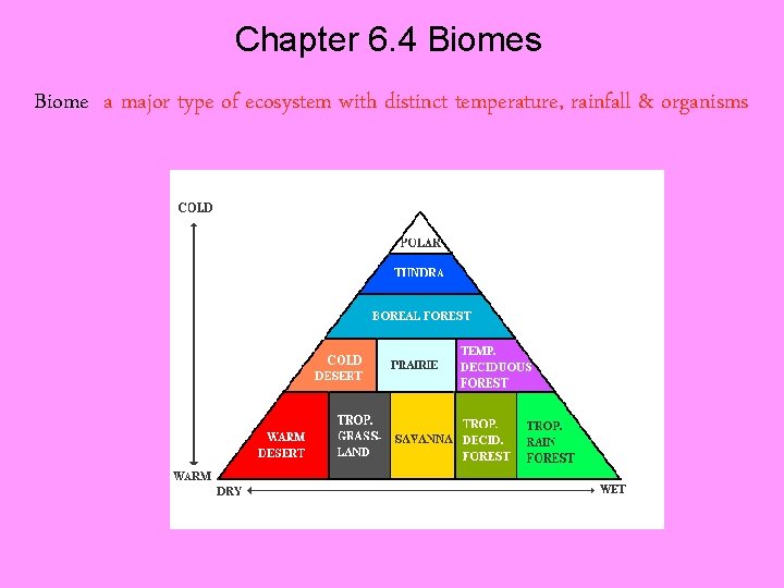 Chapter 6. 4 Biomes Biome a major type of ecosystem with distinct temperature, rainfall