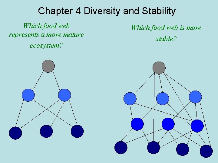 Chapter 4 Diversity and Stability Which food web represents a more mature ecosystem? Which