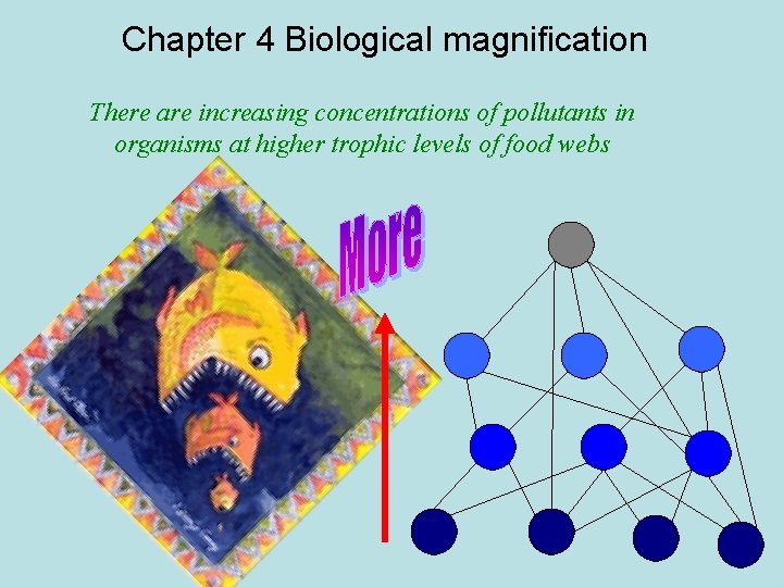 Chapter 4 Biological magnification There are increasing concentrations of pollutants in organisms at higher