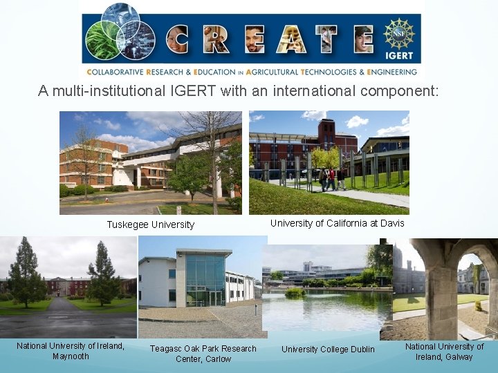 A multi-institutional IGERT with an international component: Tuskegee University National University of Ireland, Maynooth