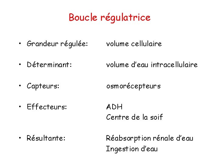 Boucle régulatrice • Grandeur régulée: volume cellulaire • Déterminant: volume d’eau intracellulaire • Capteurs: