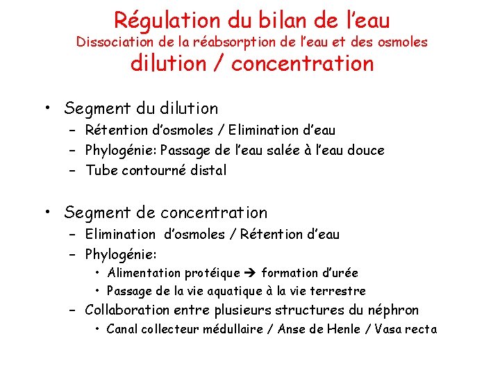 Régulation du bilan de l’eau Dissociation de la réabsorption de l’eau et des osmoles