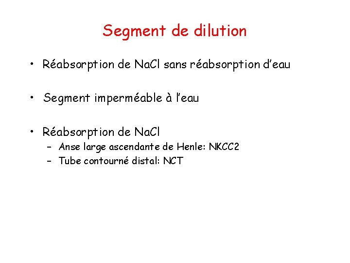 Segment de dilution • Réabsorption de Na. Cl sans réabsorption d’eau • Segment imperméable