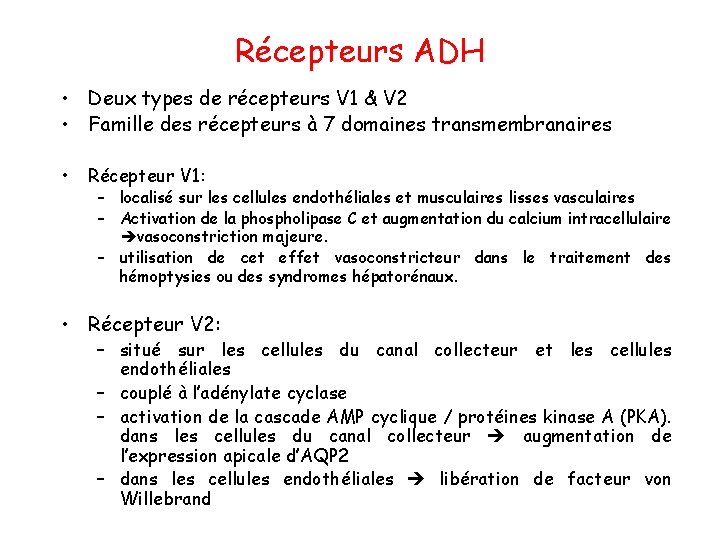 Récepteurs ADH • Deux types de récepteurs V 1 & V 2 • Famille