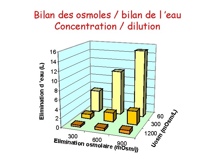 Bilan des osmoles / bilan de l ’eau Concentration / dilution 14 12 10