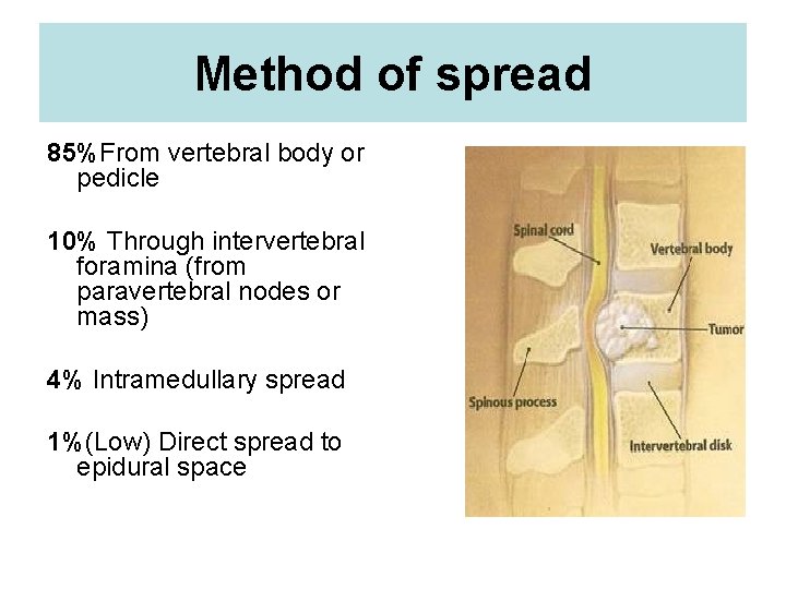 Method of spread 85%From vertebral body or pedicle 10% Through intervertebral foramina (from paravertebral