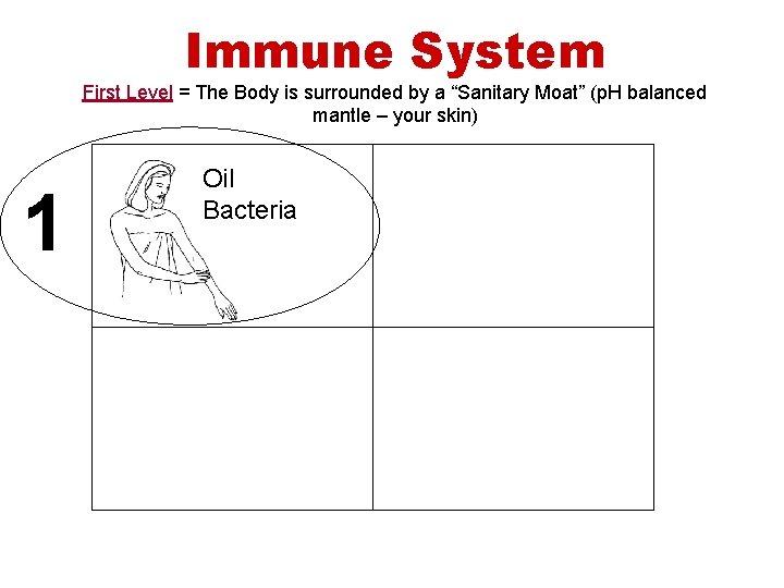 Immune System First Level = The Body is surrounded by a “Sanitary Moat” (p.