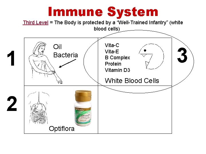 Immune System Third Level = The Body is protected by a “Well-Trained Infantry” (white