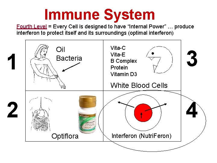 Immune. System Fourth Level = Every Cell is designed to have “Internal Power” …