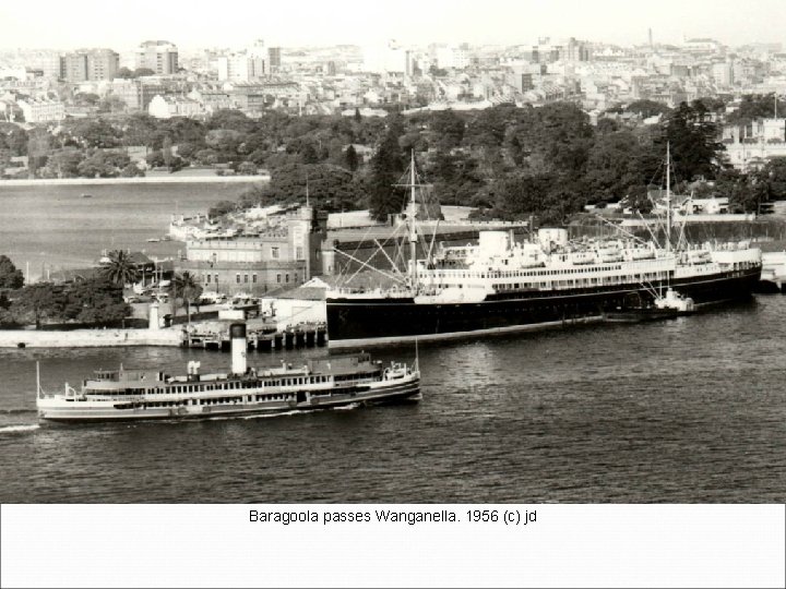 Baragoola passes Wanganella. 1956 (c) jd 