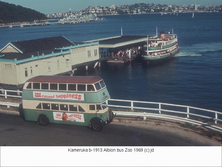 Kameruka b-1913 Albion bus Zoo 1969 (c) jd 