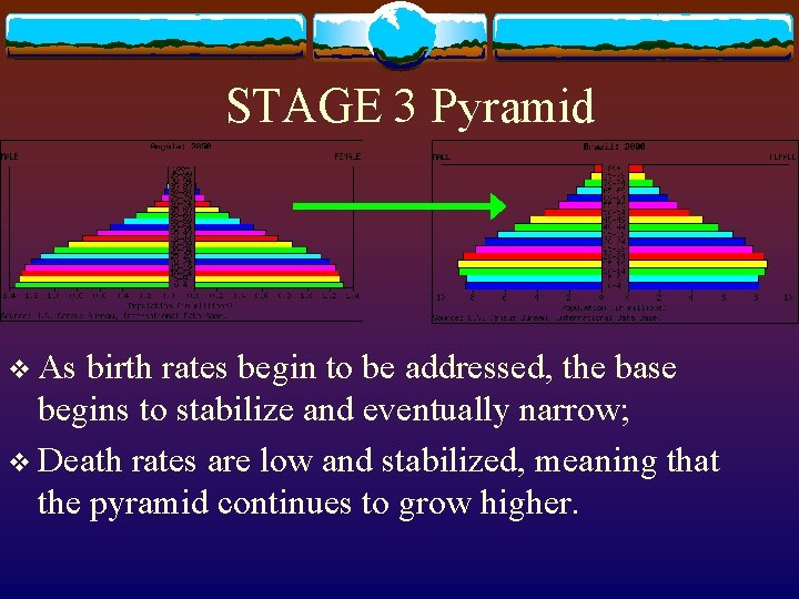 STAGE 3 Pyramid v As birth rates begin to be addressed, the base begins