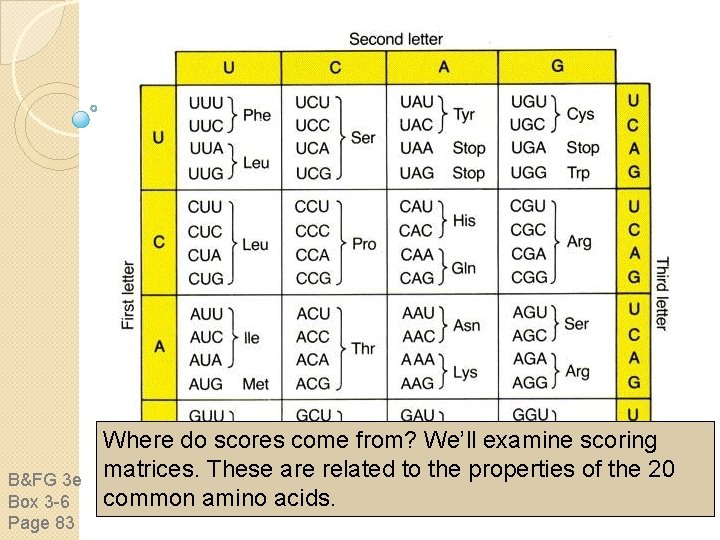 B&FG 3 e Box 3 -6 Page 83 Where do scores come from? We’ll