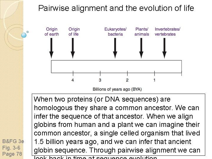 Pairwise alignment and the evolution of life B&FG 3 e Fig. 3 -6 Page