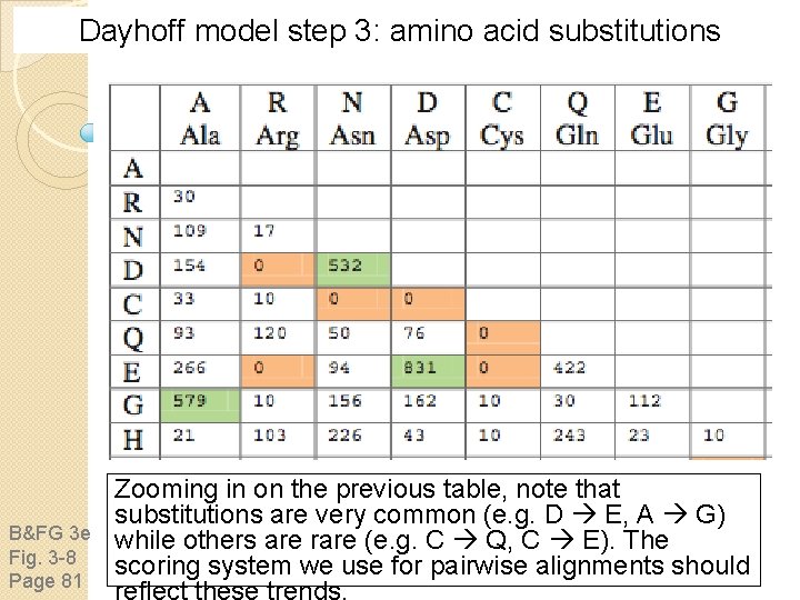 Dayhoff model step 3: amino acid substitutions B&FG 3 e Fig. 3 -8 Page