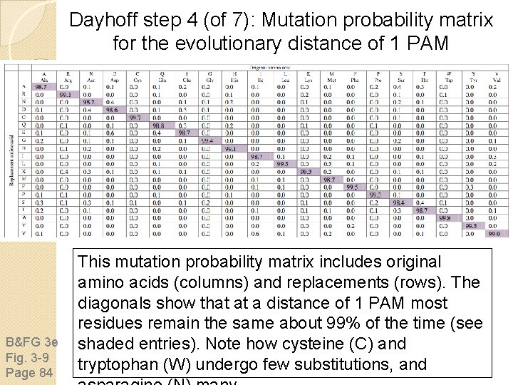 Dayhoff step 4 (of 7): Mutation probability matrix for the evolutionary distance of 1