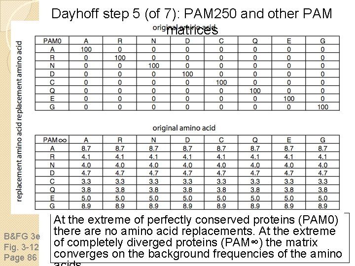 Dayhoff step 5 (of 7): PAM 250 and other PAM matrices B&FG 3 e