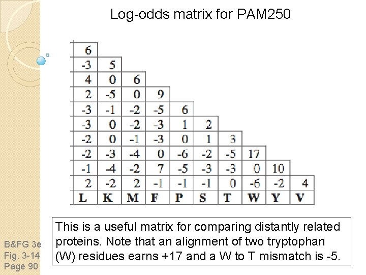 Log-odds matrix for PAM 250 B&FG 3 e Fig. 3 -14 Page 90 This