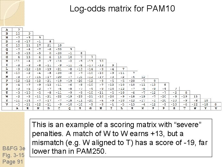 Log-odds matrix for PAM 10 B&FG 3 e Fig. 3 -15 Page 91 This