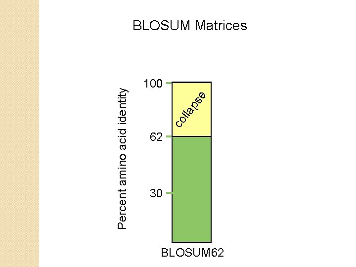 e ps lla co Percent amino acid identity BLOSUM Matrices 100 62 30 BLOSUM