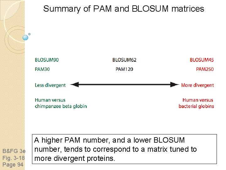 Summary of PAM and BLOSUM matrices B&FG 3 e Fig. 3 -18 Page 94