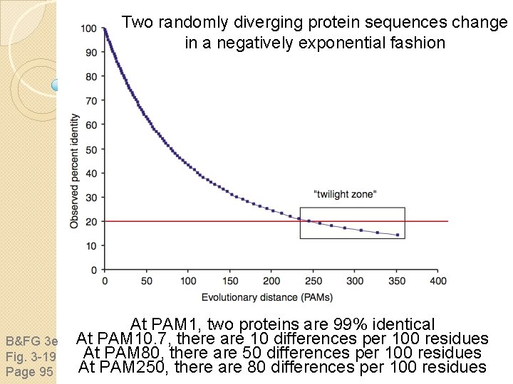Two randomly diverging protein sequences change in a negatively exponential fashion B&FG 3 e
