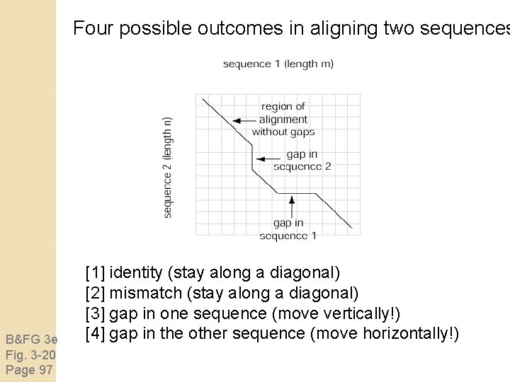 Four possible outcomes in aligning two sequences B&FG 3 e Fig. 3 -20 Page
